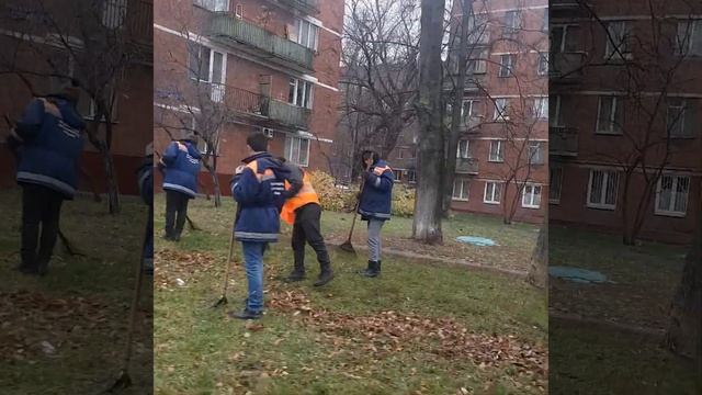 Уборка листьев у пятиэтажек, Гагаринский район