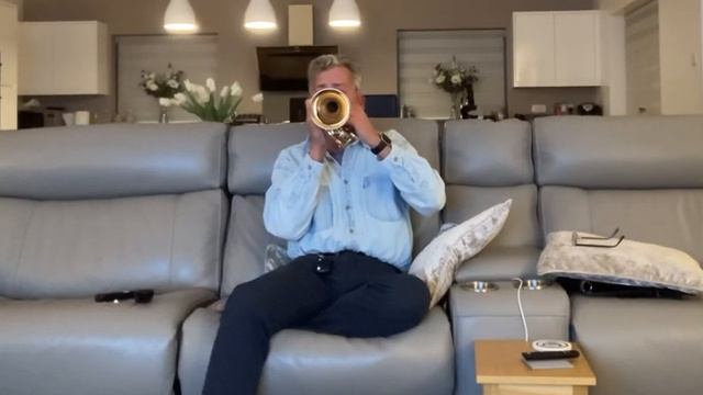 Lately - Stevie Wonder. Cornet play along. #cornet смотреть онлайн