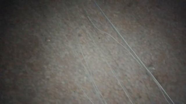 Витые в керамзите смотреть онлайн