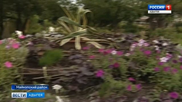 В поселке Тульском открылся необычный музей "Геометрия живого" смотреть онлайн