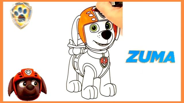 Как Нарисовать Щенячий Патруль ? Зума Paw Patrol Zuma Drawing and Coloring for Kids ? смотреть онлайн