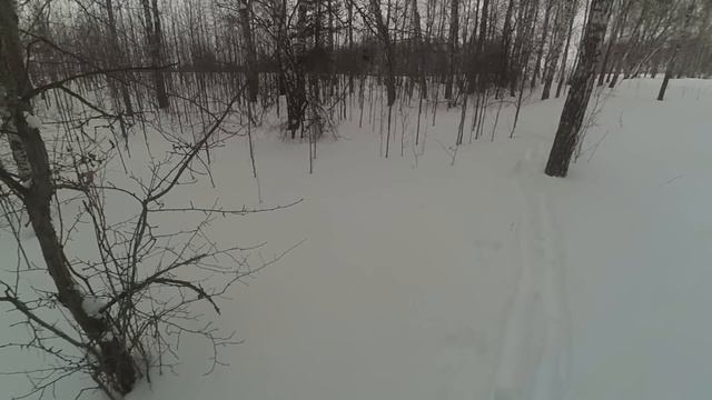 Охота на зайца.Короткая пороша смотреть онлайн
