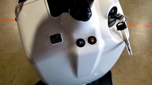 2022 Honda Ruckus 49cc Scooter Review of Specs, Changes, Features + Walkaround | NPS 50 смотреть онлайн