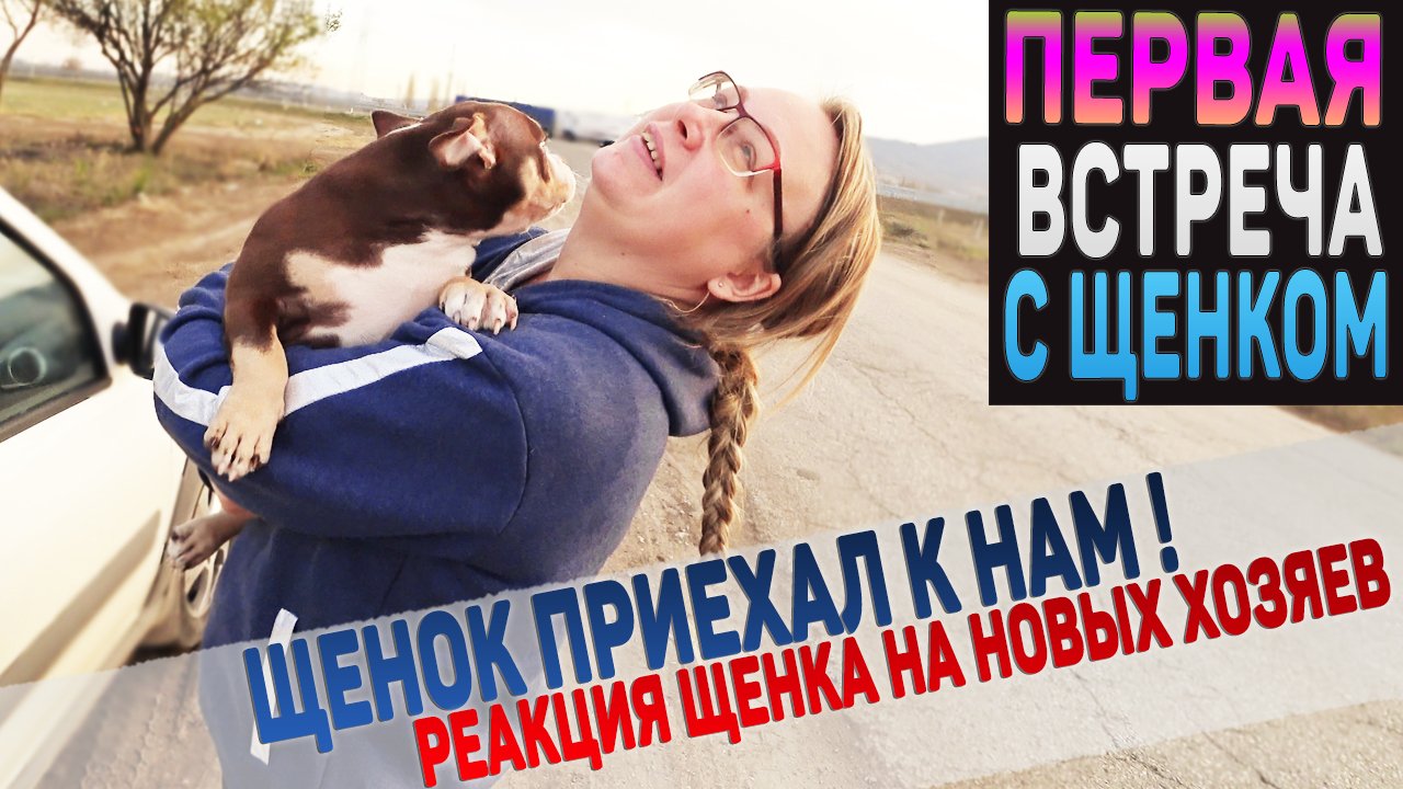 Щенок впервые видит новых хозяев, а они щенка! Первые минуты вместе. смотреть онлайн