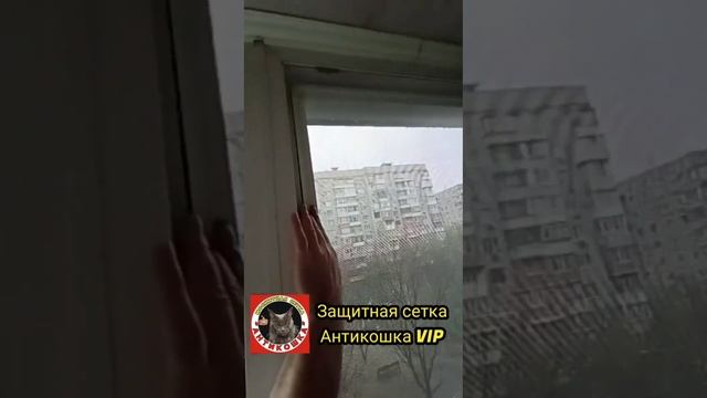 Защитная сетка от выпадения из окон кошек #антикошка #кошки #краснодар #cat #коты #cute #антикоготь смотреть онлайн