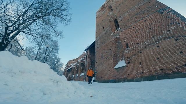 Тарту - культурная столица Эстонии! | Просто Макс смотреть онлайн