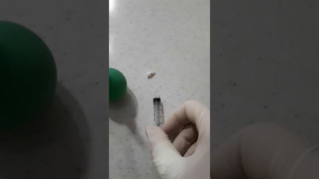 Как я победила запор у котёнка Невской маскарадной смотреть онлайн