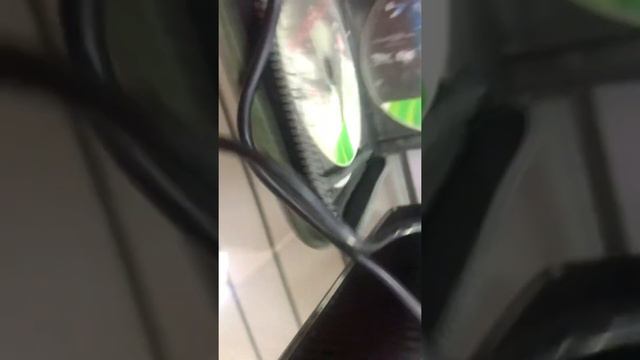 8 августа 2021 г. смотреть онлайн