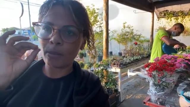 Viver de Plantas/ O Curso Para Você que quer Trabalhar com as bonitas 😍 смотреть онлайн