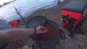 КАРП ловится на каждом забросе! Как поймать крупного карпа #рыбалка #карп #природа #рыбалканакарпа