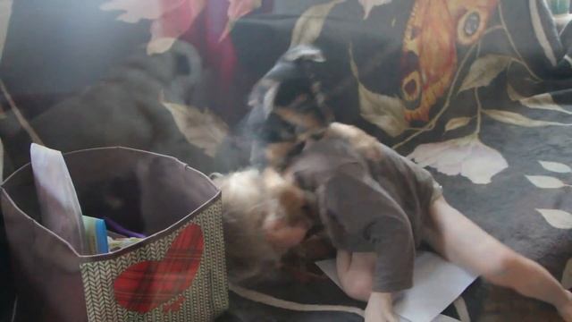 С Днем Рождения меня! Happy Birthday To Me! #деньрожденья #happybirthday