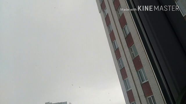 💞С днём святого Валентина💞 смотреть онлайн