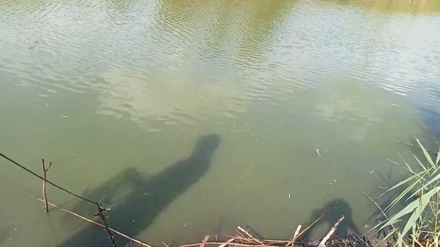 Денежный день. Улов на поисковый магнит. Учу подрастающее поколение чистить реки. смотреть онлайн