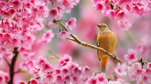 Вёснушка вернулась.mp4 смотреть онлайн