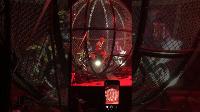 Большой цирк «Максимум» в Наро-Фоминске смотреть онлайн