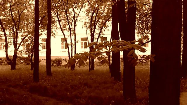 Lenovo P770 Тест камеры: Лес Сепия (Специально для Heplix.ru) смотреть онлайн