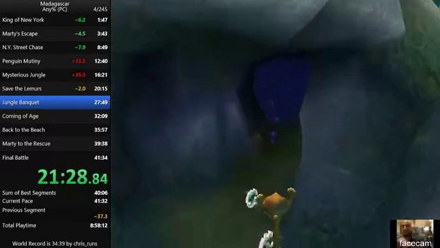 Madagascar any% Speedrun in 40:36 смотреть онлайн