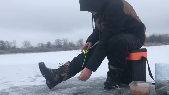 Первый лед. ТОЛЬКО УСПЕВАЙ ОПУСКАТЬ! ПРИКОРМИЛ ХЛЕБОМ и дело пошло. ПЛОТВА и ОКУНЬ на мормышку смотреть онлайн