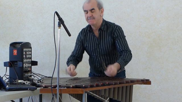 Roman Lankios - Xylophone - Hungarian Chardash смотреть онлайн