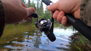 СБИРУЛИНО - наводим шорох на таёжной реке / Рыбалка на мушку / Летний хариус