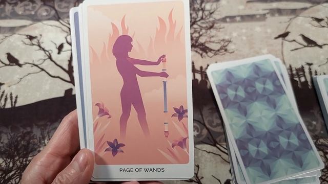 Tina Gong Tarot//Barnes & Noble ( Exclusive) Tarot book & Deck reveal! What exactly do you get?? смотреть онлайн