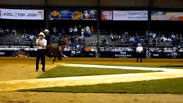 Faena de las Guacas Campeona Yeguas Trocha Galope Copa America 2013. Reservada Murallas de las Peña смотреть онлайн