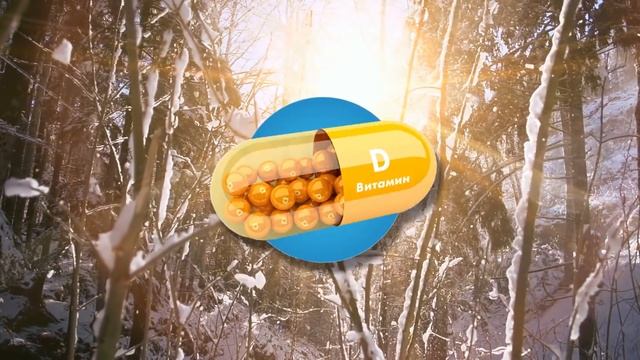 Что Будет, Если Есть По 3 Яйца в День? смотреть онлайн