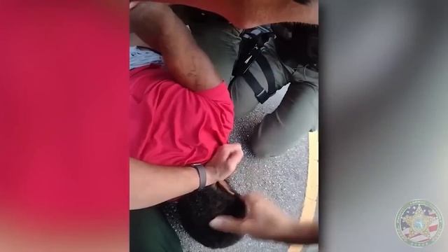 Policías en Acción Exclusiva: Detenciones complicadas #39 смотреть онлайн