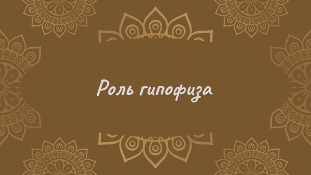 Роль гипофиза | Йога Нидра смотреть онлайн