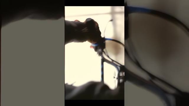 ДМБ — Альпийские тетерева. смотреть онлайн
