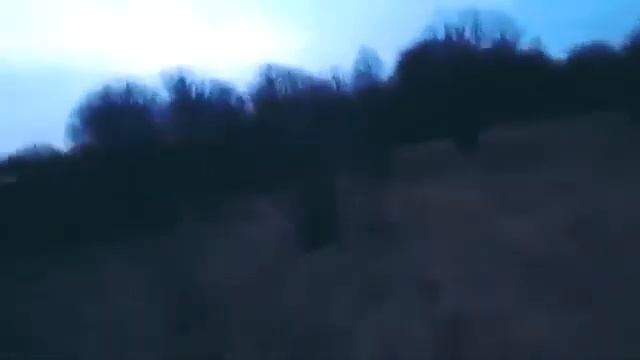 ПАША ПЕЛ-ПОГОНЯ ОТ ФСБ/ЗАБЛУДИЛСЯ В ЛЕСУ 10ЧАСТЬ смотреть онлайн