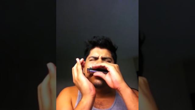 Bb Jam - B flat Jam - Diatonic harmonica - Hohner Marine Band Reloaded смотреть онлайн