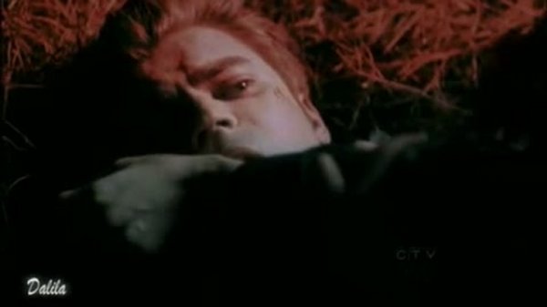 Вдребезги сердца