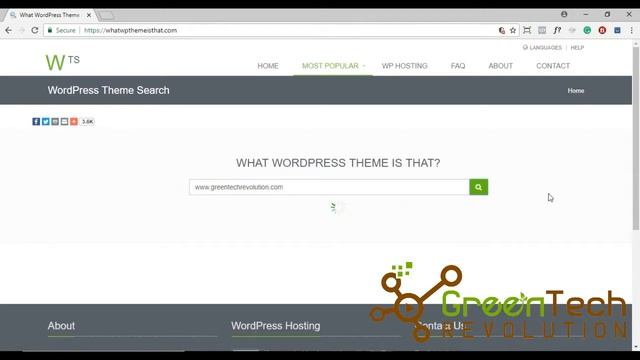 How to find out what wordpress theme a website is using смотреть онлайн