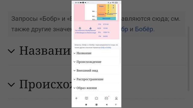Обыкновенный бобр смотреть онлайн