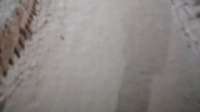 Марафон 10000 шагов ежедневно. 08.02.2021 смотреть онлайн