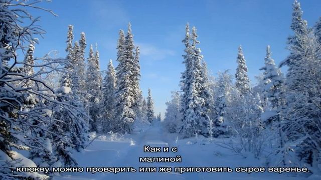 Готовка на Открытом Огне