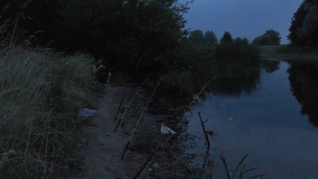 РЫБАЛКА на ДИКОМ ПРУДУ или КАРАСЬ на ПЛАСТИЛИН до САМОЙ НОЧИ смотреть онлайн