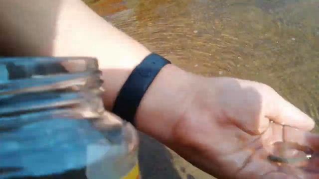 выпускаем рыбок из аквариума смотреть онлайн