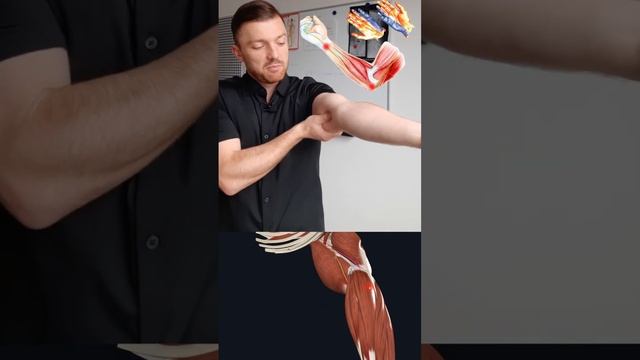 Онемение в пальцах рук? Срединный нерв. Лучевой нерв. Локтевой нерв. Массируй в этих местах! смотреть онлайн