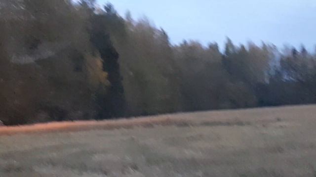 Комбайны Вектор работают смотреть онлайн