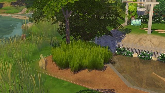 The Sims 4 | Tiny Home | Off Grid | Stop Motion Build | Nocc смотреть онлайн
