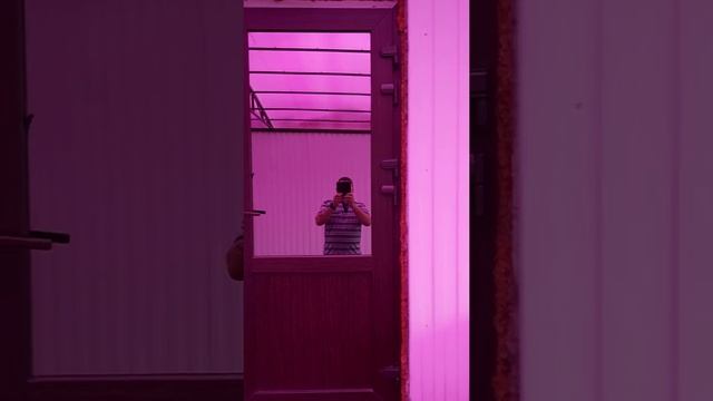 навесы и заборы.