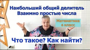 Наибольший общий делитель (НОД). Взаимно простые числа. Математика 6 класс