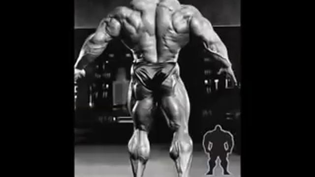 Bodybuilding Motivation