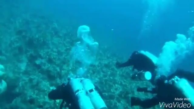 Дайвинг в Дахабе. Каньон.Технический дайвинг. Дайвинг в Египте. смотреть онлайн