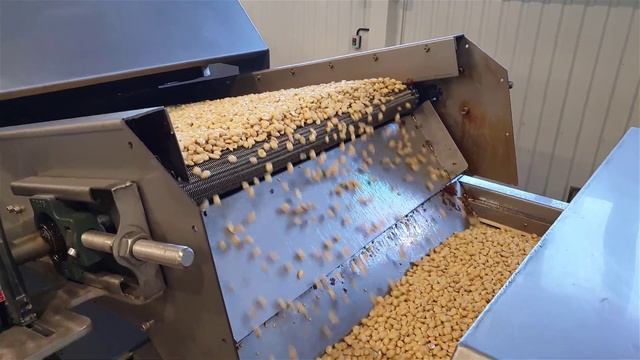 Peanut Fryring Line - Fryer Line - Fryer Machine - линия фритюрницы - фритюрница OS - 850 смотреть онлайн