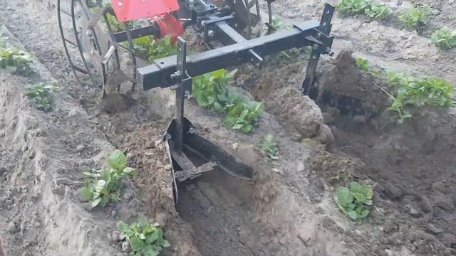 Второе окучивание картофеля бензиновым мотоблоком Forte 1050G. смотреть онлайн