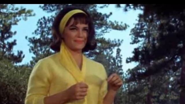 Connie Francis: Her Tragic Life (Jerry Skinner Documentary)