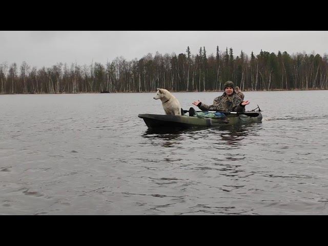 22 июля 2021 г.